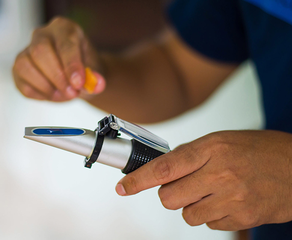 Z6尊龙·凯时(中国)-官方网站