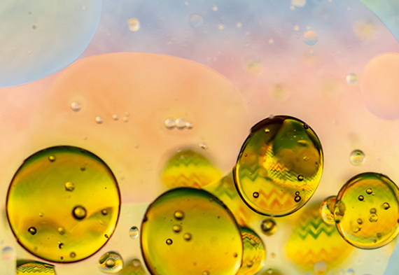 Z6尊龙·凯时(中国)-官方网站